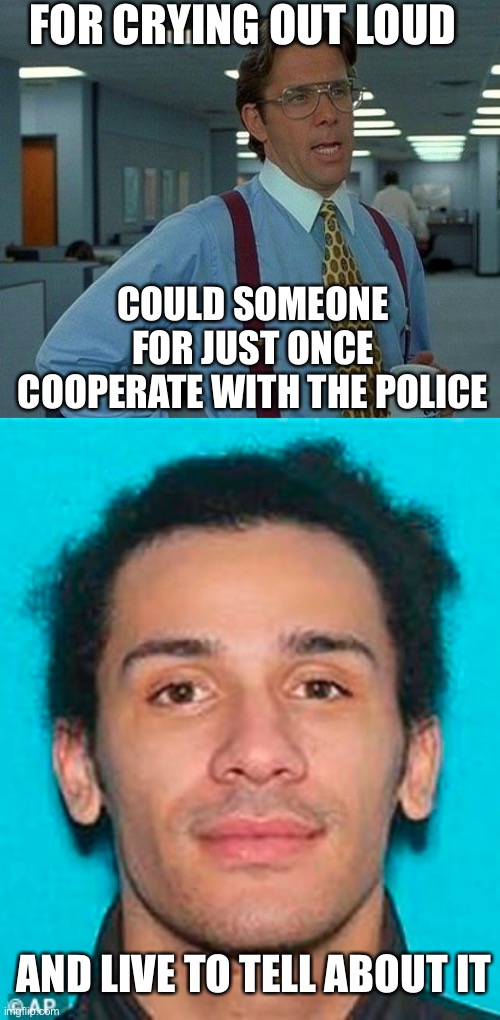FOR CRYING OUT LOUD; COULD SOMEONE FOR JUST ONCE COOPERATE WITH THE POLICE; AND LIVE TO TELL ABOUT IT | image tagged in memes,that would be great,cooperate | made w/ Imgflip meme maker
