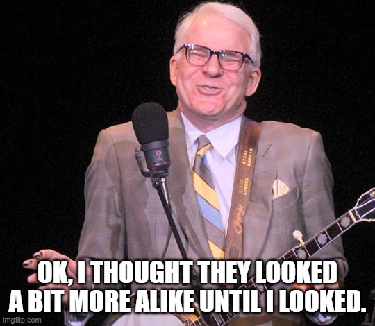 OK, I THOUGHT THEY LOOKED A BIT MORE ALIKE UNTIL I LOOKED. | image tagged in steve martin | made w/ Imgflip meme maker