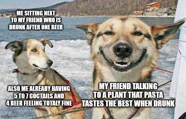 normal friday night | ME SITTING NEXT TO MY FRIEND WHO IS DRUNK AFTER ONE BEER; MY FRIEND TALKING TO A PLANT THAT PASTA TASTES THE BEST WHEN DRUNK; ALSO ME ALREADY HAVING 5 TO 7 COCTAILS AND 4 BEER FEELING TOTALY FINE | image tagged in memes,original stoner dog | made w/ Imgflip meme maker