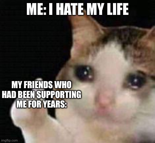 Approved crying cat | ME: I HATE MY LIFE; MY FRIENDS WHO HAD BEEN SUPPORTING ME FOR YEARS: | image tagged in approved crying cat | made w/ Imgflip meme maker