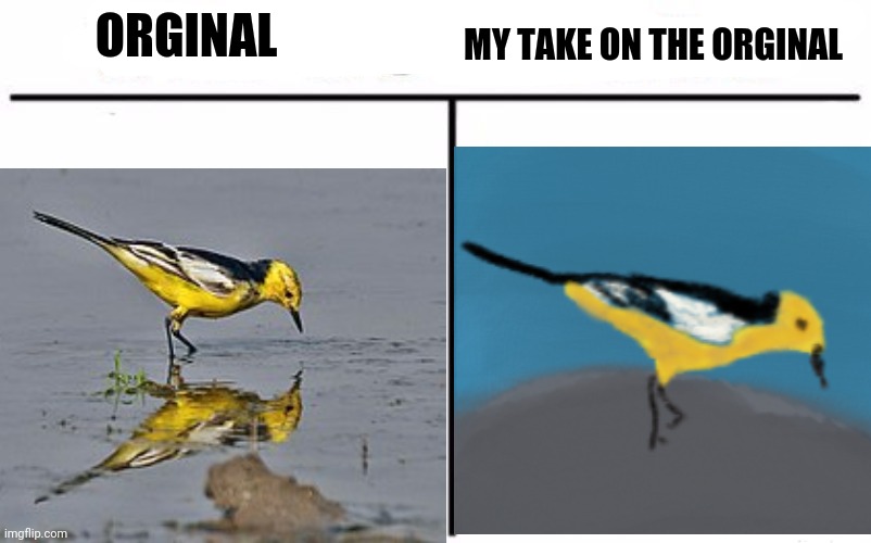 Drew a Citrine Wagtail digitally. Took about 50-ish mins and 3 layers. | ORGINAL; MY TAKE ON THE ORGINAL | image tagged in digital art | made w/ Imgflip meme maker