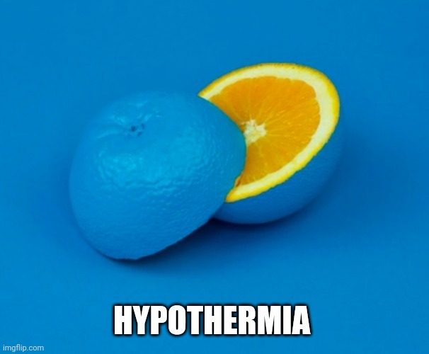 HYPOTHERMIA | made w/ Imgflip meme maker