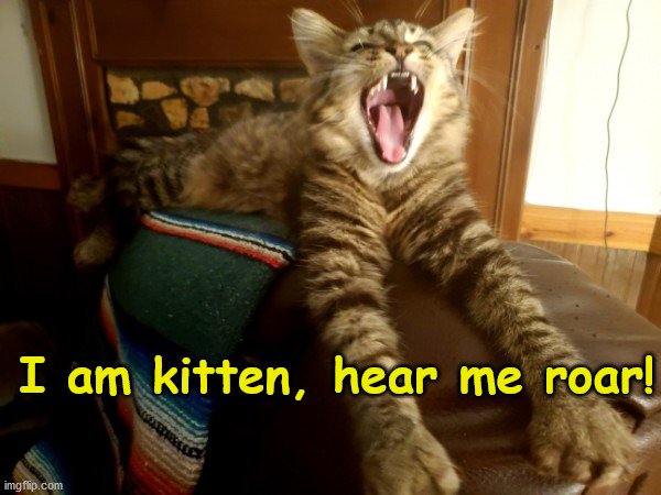 Yawning Kitten | I am kitten, hear me roar! | image tagged in yawning kitten | made w/ Imgflip meme maker