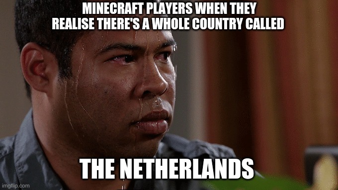 Minecraft meme | MINECRAFT PLAYERS WHEN THEY REALISE THERE'S A WHOLE COUNTRY CALLED; THE NETHERLANDS | image tagged in minecraft,sweaty,funny memes,funny meme,dream | made w/ Imgflip meme maker
