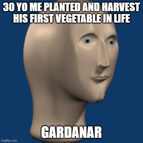 GARDANAR | 30 YO ME PLANTED AND HARVEST HIS FIRST VEGETABLE IN LIFE; GARDANAR | image tagged in meme man,plants,vegetables | made w/ Imgflip meme maker