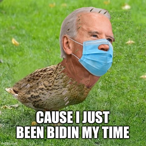 Joe BidenDuck | CAUSE I JUST BEEN BIDIN MY TIME | image tagged in joe bidenduck | made w/ Imgflip meme maker