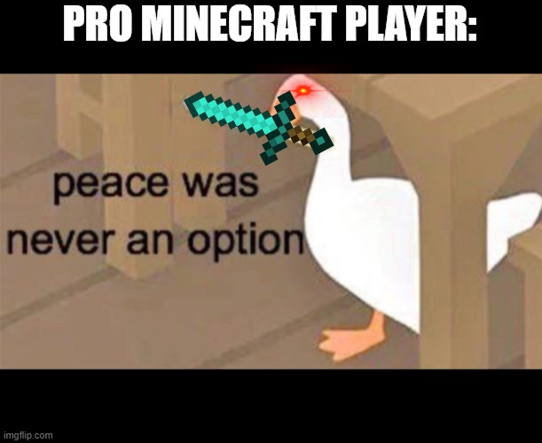 Untitled Goose Peace Was Never an Option | PRO MINECRAFT PLAYER: | image tagged in untitled goose peace was never an option | made w/ Imgflip meme maker