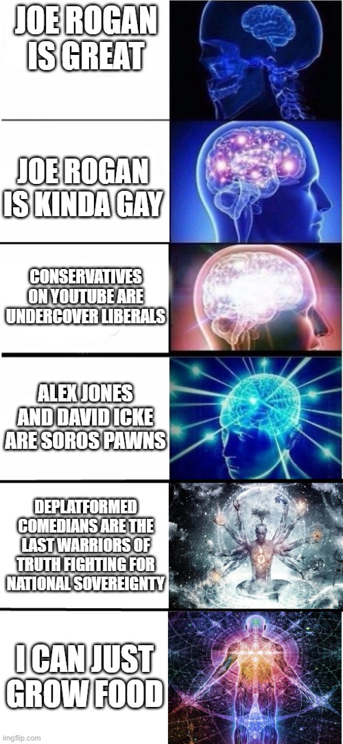 YouTube conservatives are undercover liberals | JOE ROGAN IS GREAT; JOE ROGAN IS KINDA GAY; CONSERVATIVES ON YOUTUBE ARE UNDERCOVER LIBERALS; ALEX JONES AND DAVID ICKE ARE SOROS PAWNS; DEPLATFORMED COMEDIANS ARE THE LAST WARRIORS OF TRUTH FIGHTING FOR NATIONAL SOVEREIGNTY; I CAN JUST GROW FOOD | image tagged in expanding brain 5 stages | made w/ Imgflip meme maker