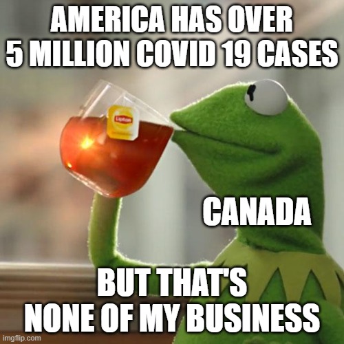 But That's None Of My Business | AMERICA HAS OVER 5 MILLION COVID 19 CASES; CANADA; BUT THAT'S NONE OF MY BUSINESS | image tagged in memes,but that's none of my business,kermit the frog | made w/ Imgflip meme maker