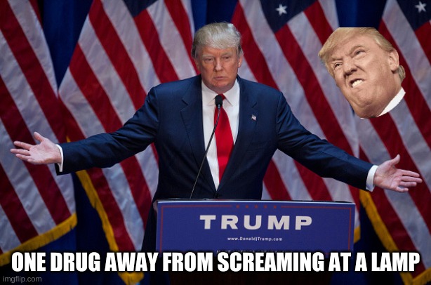 Donald Trump | ONE DRUG AWAY FROM SCREAMING AT A LAMP | image tagged in donald trump | made w/ Imgflip meme maker