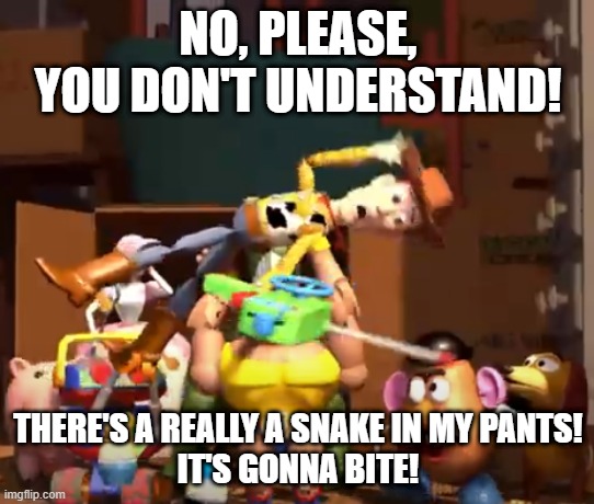 No, please, you don't understand! | NO, PLEASE, YOU DON'T UNDERSTAND! THERE'S A REALLY A SNAKE IN MY PANTS!
IT'S GONNA BITE! | image tagged in no please you don't understand | made w/ Imgflip meme maker