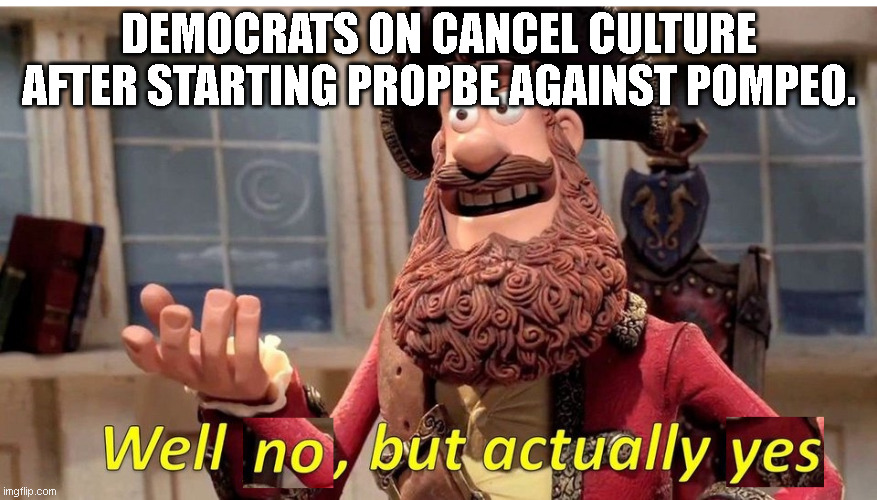 well no but actually yes | DEMOCRATS ON CANCEL CULTURE AFTER STARTING PROPBE AGAINST POMPEO. | image tagged in well no but actually yes | made w/ Imgflip meme maker