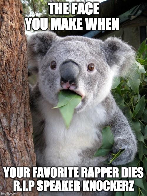 Surprised Koala | THE FACE YOU MAKE WHEN; YOUR FAVORITE RAPPER DIES

R.I.P SPEAKER KNOCKERZ | image tagged in memes,surprised koala | made w/ Imgflip meme maker