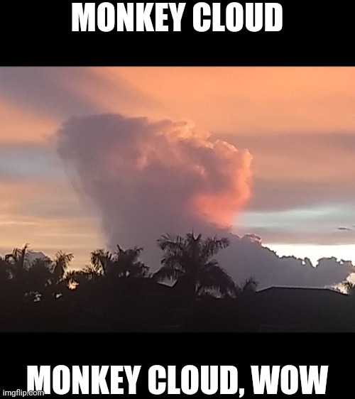 Monkey Cloud | MONKEY CLOUD; MONKEY CLOUD, WOW | image tagged in original | made w/ Imgflip meme maker