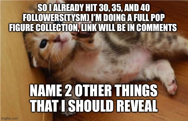 Pop figure reveal link in comments | SO I ALREADY HIT 30, 35, AND 40 FOLLOWERS(TYSM) I’M DOING A FULL POP FIGURE COLLECTION, LINK WILL BE IN COMMENTS; NAME 2 OTHER THINGS THAT I SHOULD REVEAL | image tagged in help me kitten,help | made w/ Imgflip meme maker
