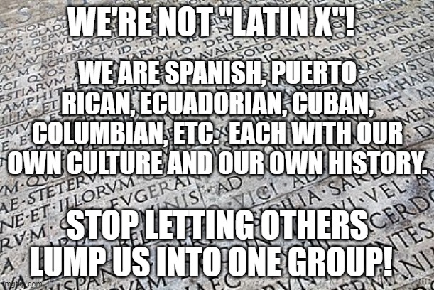 We Are Not Latin X! | WE'RE NOT "LATIN X"! WE ARE SPANISH, PUERTO RICAN, ECUADORIAN, CUBAN, COLUMBIAN, ETC.  EACH WITH OUR OWN CULTURE AND OUR OWN HISTORY. STOP LETTING OTHERS LUMP US INTO ONE GROUP! | image tagged in latin,latin x,not latin x | made w/ Imgflip meme maker