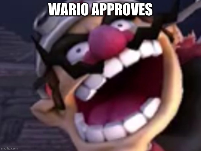 Wario | WARIO APPROVES | image tagged in wario | made w/ Imgflip meme maker