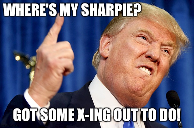 Donald Trump | WHERE'S MY SHARPIE? GOT SOME X-ING OUT TO DO! | image tagged in donald trump | made w/ Imgflip meme maker