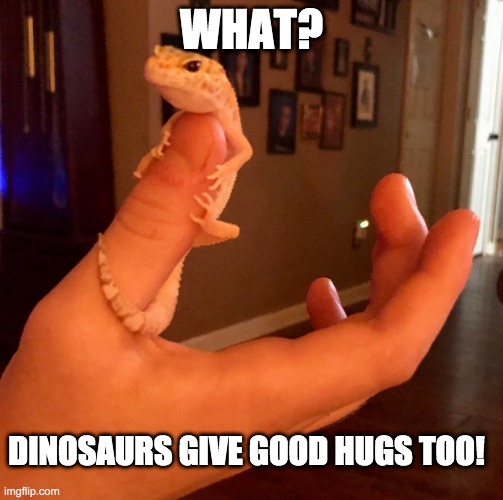 Dinosaur Hugs | WHAT? DINOSAURS GIVE GOOD HUGS TOO! | image tagged in dinosaur,hugs | made w/ Imgflip meme maker