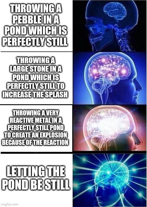 Expanding Brain | THROWING A PEBBLE IN A POND WHICH IS PERFECTLY STILL; THROWING A LARGE STONE IN A POND WHICH IS PERFECTLY STILL TO INCREASE THE SPLASH; THROWING A VERY REACTIVE METAL IN A PERFECTLY STILL POND TO CREATE AN EXPLOSION BECAUSE OF THE REACTION; LETTING THE POND BE STILL | image tagged in memes,expanding brain | made w/ Imgflip meme maker