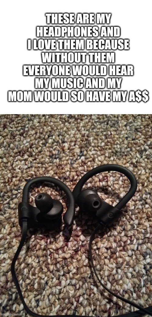 20 follower reveal: Most precious possession | THESE ARE MY HEADPHONES AND I LOVE THEM BECAUSE WITHOUT THEM EVERYONE WOULD HEAR MY MUSIC AND MY MOM WOULD SO HAVE MY A$$ | image tagged in blank white template,headphones,reveal | made w/ Imgflip meme maker