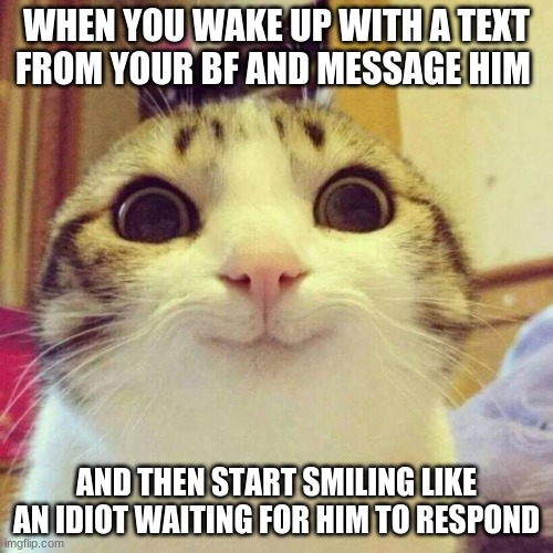 Smiling Cat | WHEN YOU WAKE UP WITH A TEXT FROM YOUR BF AND MESSAGE HIM; AND THEN START SMILING LIKE AN IDIOT WAITING FOR HIM TO RESPOND | image tagged in memes,smiling cat | made w/ Imgflip meme maker