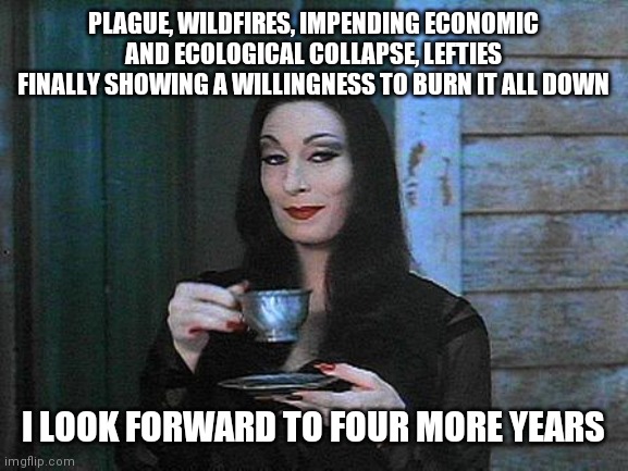 Morticia drinking tea | PLAGUE, WILDFIRES, IMPENDING ECONOMIC AND ECOLOGICAL COLLAPSE, LEFTIES FINALLY SHOWING A WILLINGNESS TO BURN IT ALL DOWN; I LOOK FORWARD TO FOUR MORE YEARS | image tagged in morticia drinking tea | made w/ Imgflip meme maker