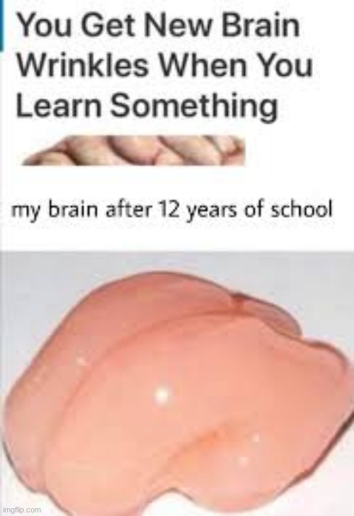 Same for me bro | image tagged in smooth brain,school | made w/ Imgflip meme maker