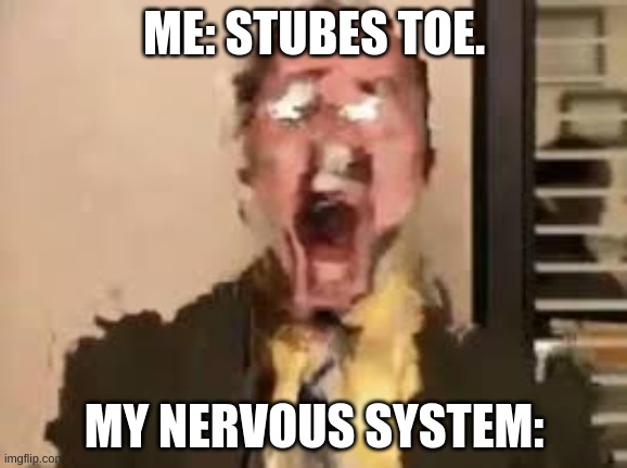 |    P     A     I     N    | | ME: STUBES TOE. MY NERVOUS SYSTEM: | image tagged in dwight schrute | made w/ Imgflip meme maker