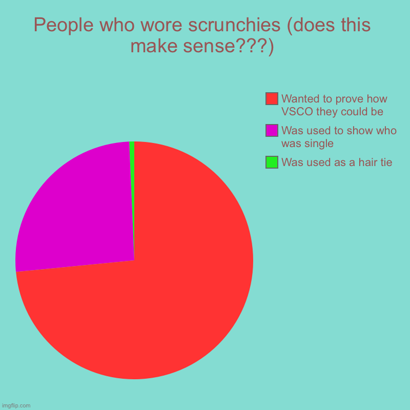 Trends that don’t make sense | People who wore scrunchies (does this make sense???) | Was used as a hair tie, Was used to show who was single, Wanted to prove how VSCO the | image tagged in charts,pie charts | made w/ Imgflip chart maker