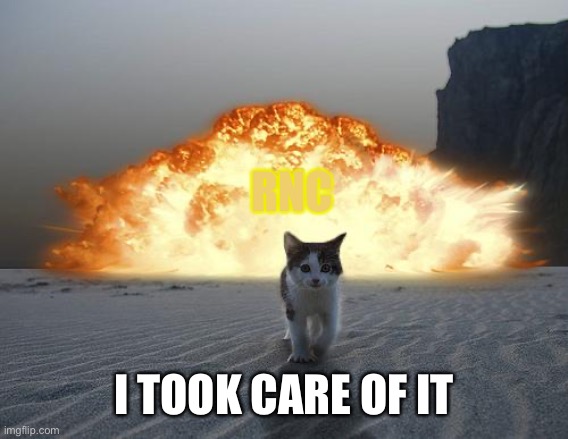 cat explosion | RNC I TOOK CARE OF IT | image tagged in cat explosion | made w/ Imgflip meme maker