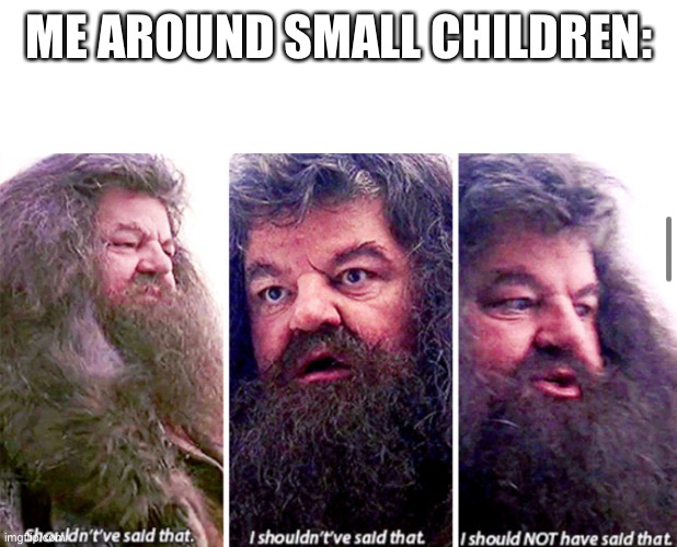 Small children | ME AROUND SMALL CHILDREN: | image tagged in blank white template | made w/ Imgflip meme maker