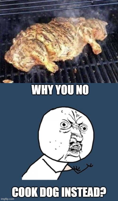 No cats were harmed in the making of this meme...lol | WHY YOU NO; COOK DOG INSTEAD? | image tagged in memes,y u no,funny | made w/ Imgflip meme maker