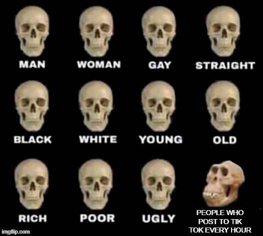 Too Much Posting | PEOPLE WHO POST TO TIK TOK EVERY HOUR | image tagged in idiot skull | made w/ Imgflip meme maker