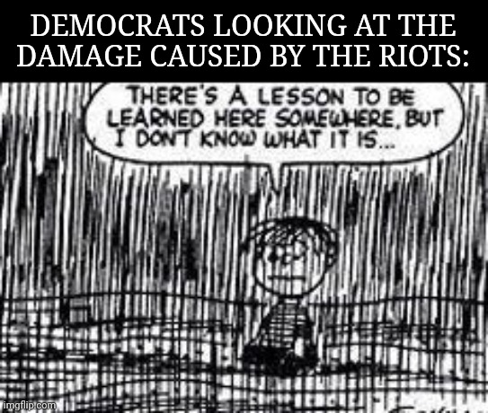 There's a lesson to be learned here somewhere | DEMOCRATS LOOKING AT THE DAMAGE CAUSED BY THE RIOTS: | image tagged in there's a lesson to be learned here somewhere,liberal logic,riots,democrats,charlie brown | made w/ Imgflip meme maker
