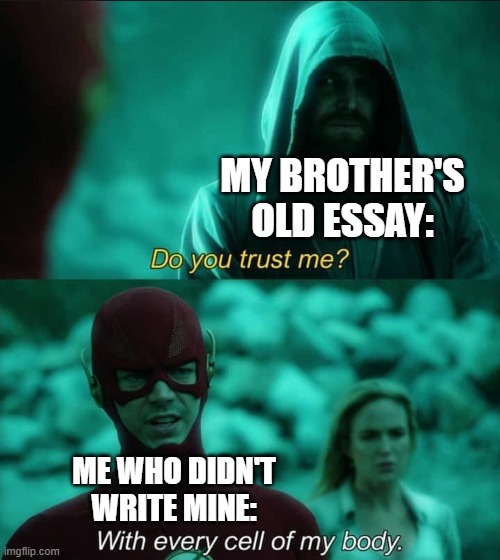 Do you trust me flash | MY BROTHER'S OLD ESSAY:; ME WHO DIDN'T WRITE MINE: | image tagged in do you trust me flash,i'm 15 so don't try it,who reads these | made w/ Imgflip meme maker