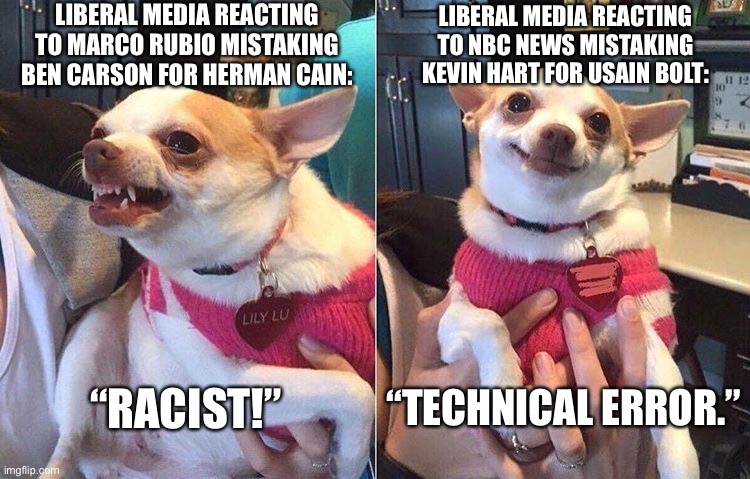 Is it racism or is it a technical error? | LIBERAL MEDIA REACTING TO MARCO RUBIO MISTAKING BEN CARSON FOR HERMAN CAIN:; LIBERAL MEDIA REACTING TO NBC NEWS MISTAKING KEVIN HART FOR USAIN BOLT:; “RACIST!”; “TECHNICAL ERROR.” | image tagged in angry dog meme,memes,nbc,fake news,black,race | made w/ Imgflip meme maker