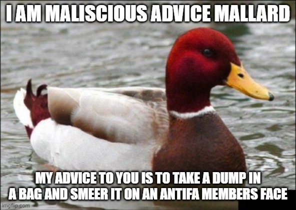 Malicious Advice Mallard Meme | I AM MALISCIOUS ADVICE MALLARD MY ADVICE TO YOU IS TO TAKE A DUMP IN A BAG AND SMEER IT ON AN ANTIFA MEMBERS FACE | image tagged in memes,malicious advice mallard | made w/ Imgflip meme maker