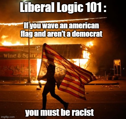 Democrats are anti-america | Liberal Logic 101 :; If you wave an american flag and aren't a democrat; you must be racist | image tagged in liberal logic,democrats | made w/ Imgflip meme maker