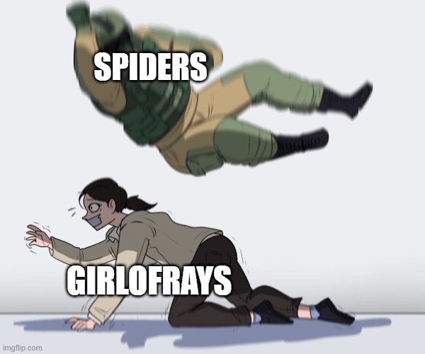 I made it into an actual meme now | SPIDERS; GIRLOFRAYS | image tagged in rainbow six - fuze the hostage | made w/ Imgflip meme maker