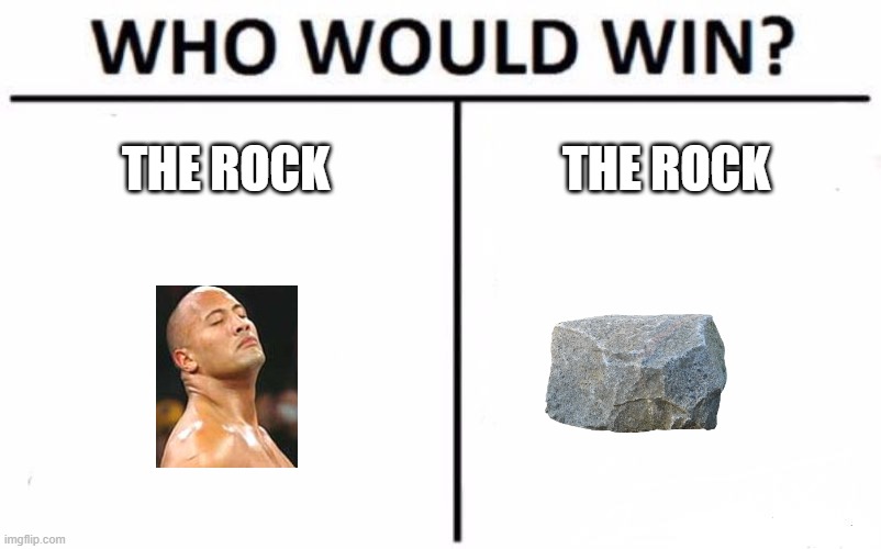 Who Would Win? Meme | THE ROCK THE ROCK | image tagged in memes,who would win | made w/ Imgflip meme maker