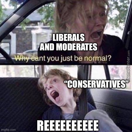 Why Can't You Just Be Normal | LIBERALS AND MODERATES; “CONSERVATIVES”; REEEEEEEEEE | image tagged in why can't you just be normal,alt-right,rnc convention | made w/ Imgflip meme maker