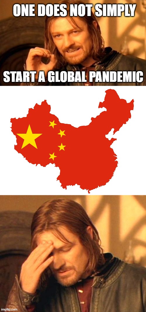 Boromir frustrated | ONE DOES NOT SIMPLY; START A GLOBAL PANDEMIC | image tagged in boromir frustrated,coronavirus,covid-19,memes,one does not simply,china | made w/ Imgflip meme maker