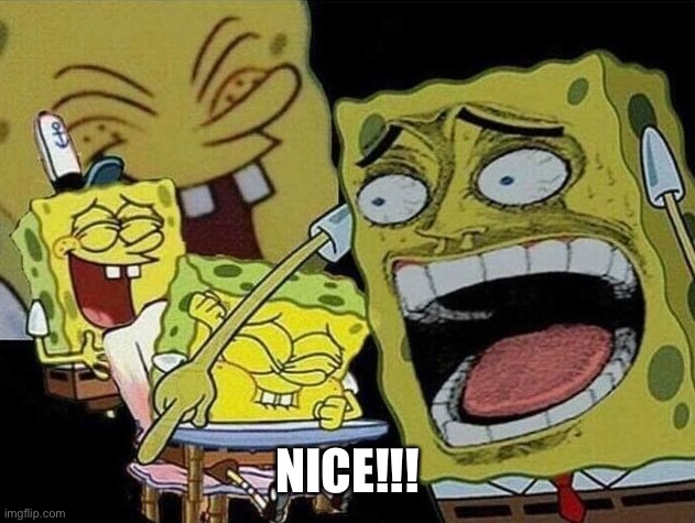 Spongebob laughing Hysterically | NICE!!! | image tagged in spongebob laughing hysterically | made w/ Imgflip meme maker