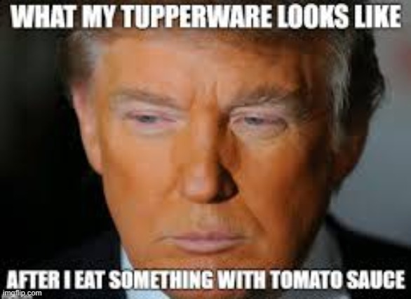 trump | image tagged in trump,orange | made w/ Imgflip meme maker