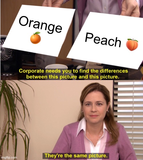 There are some similarities | Orange 🍊; Peach 🍑 | image tagged in memes,they're the same picture | made w/ Imgflip meme maker