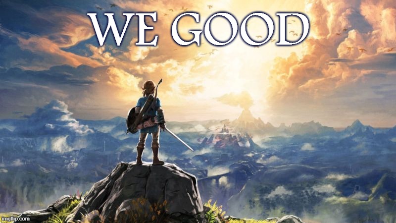 When you good. | WE GOOD | image tagged in breath of the wild,zelda,nintendo,nintendo switch,the legend of zelda breath of the wild,legend of zelda | made w/ Imgflip meme maker