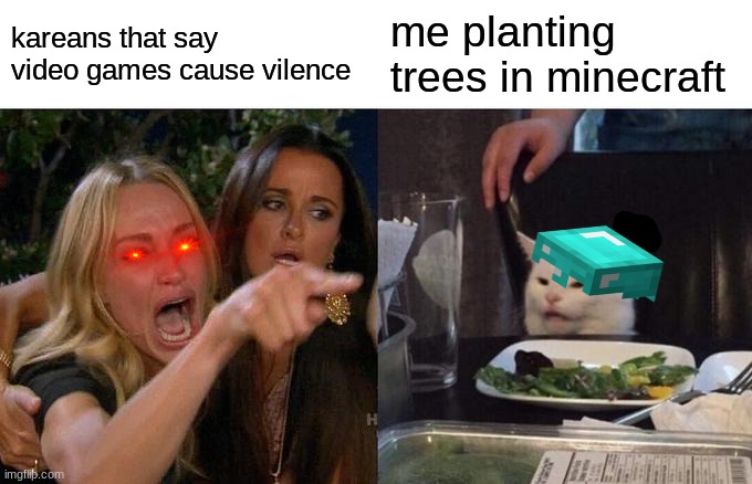 Woman Yelling At Cat | kareans that say video games cause vilence; me planting trees in minecraft | image tagged in memes,woman yelling at cat | made w/ Imgflip meme maker