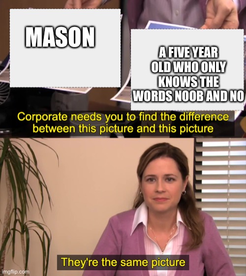 there the same picture | A FIVE YEAR OLD WHO ONLY KNOWS THE WORDS NOOB AND NO; MASON | image tagged in there the same picture | made w/ Imgflip meme maker