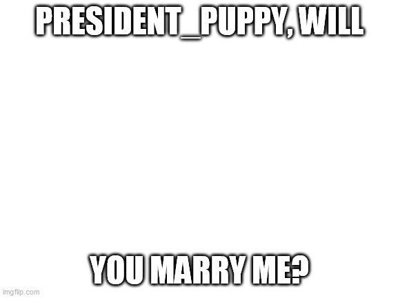 Blank White Template | PRESIDENT_PUPPY, WILL; YOU MARRY ME? | image tagged in blank white template | made w/ Imgflip meme maker